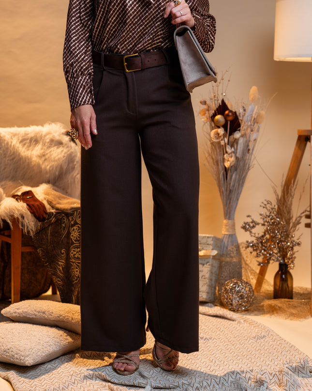 Elegantne rjave hlače z okrasnim rjavim pasom